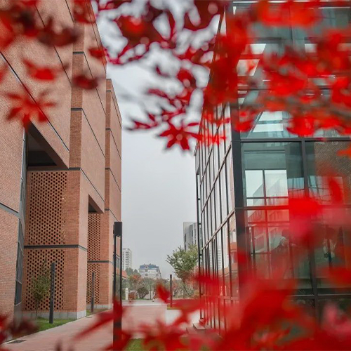 我的大學(xué)