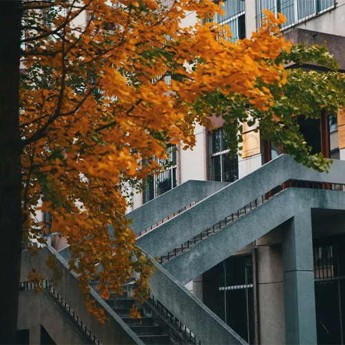 大學(xué)簡介