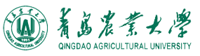 2021年-2025年高考招生資訊