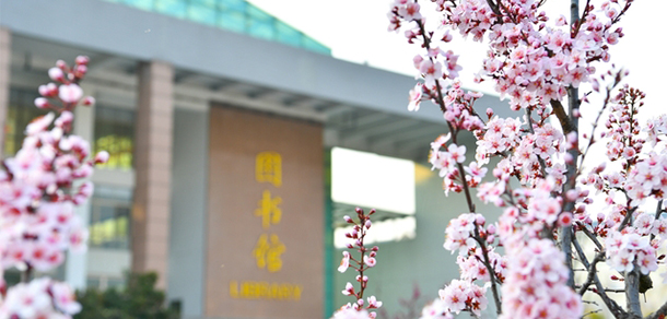濰坊醫(yī)學院 - 最美大學