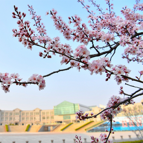 最美大學(xué)
