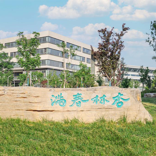 我的大學(xué)