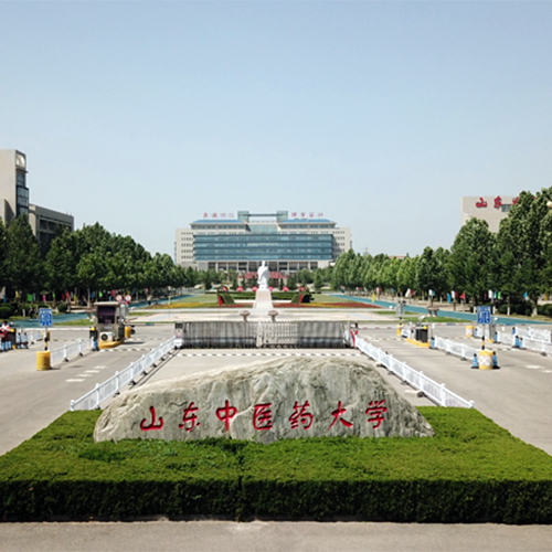 我的大學(xué)