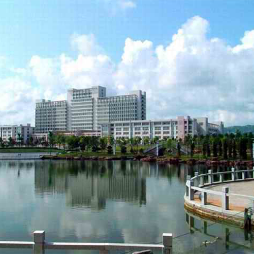 最美大學