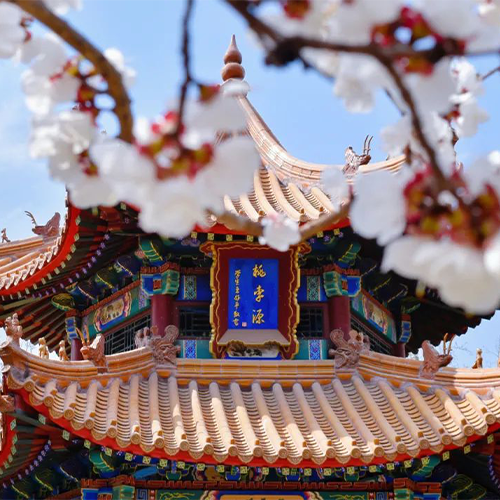 我的大學