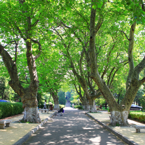 中國海洋大學(xué)-大學(xué)文化