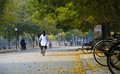 聊城大學 - 我的大學