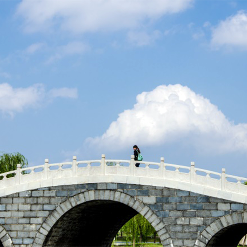 我的大學(xué)