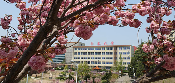 魯東大學 - 最美大學