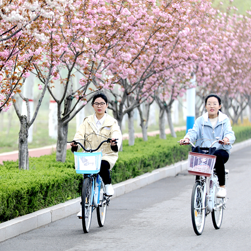 臨沂大學-大學文化