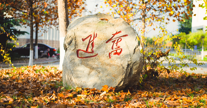 泰山學(xué)院 早安青春