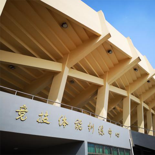大學(xué)志