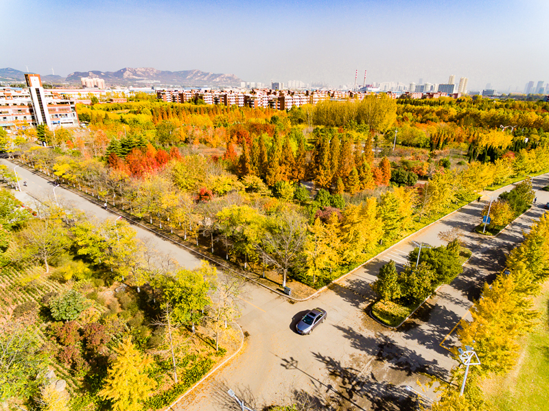 山東科技大學(xué) 早安青春