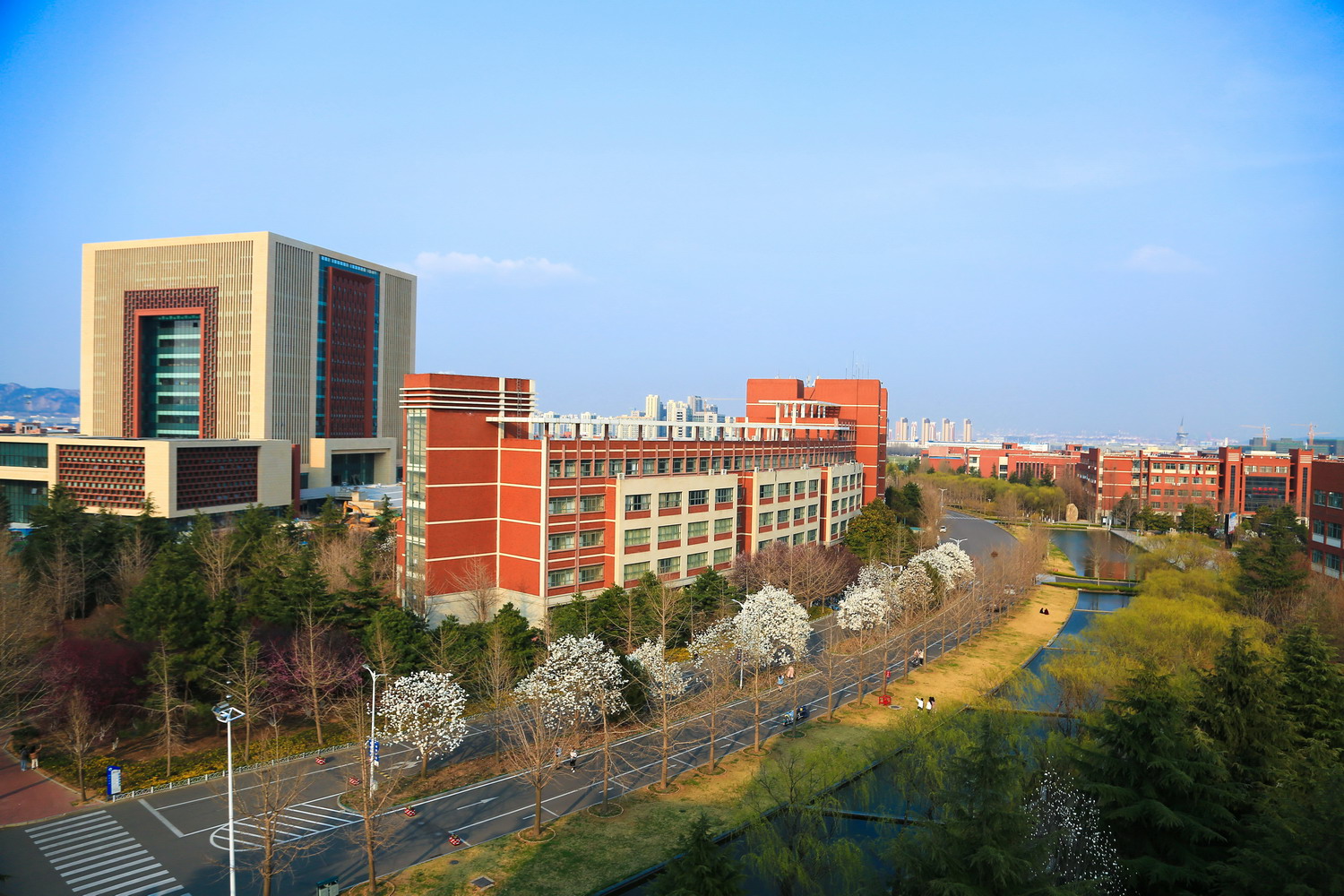 山東科技大學(xué)-校園風景