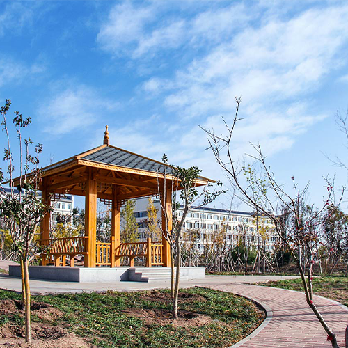 我的大學(xué)