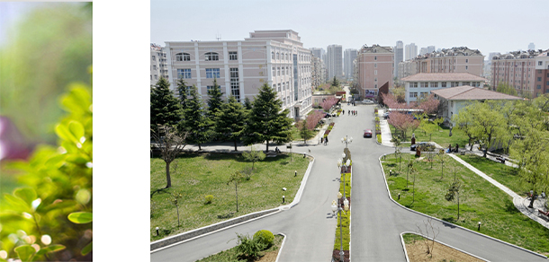 青島濱海學院 - 最美大學