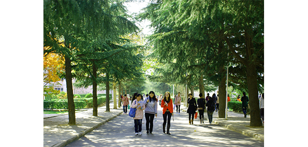 青島濱海學院 - 最美大學