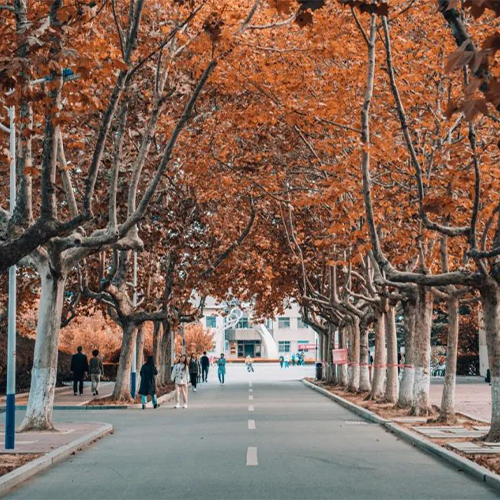 煙臺大學(xué)-流金歲月