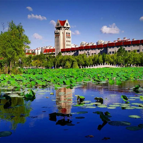 煙臺大學(xué)-大學(xué)文化