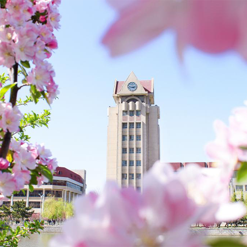 我的大學
