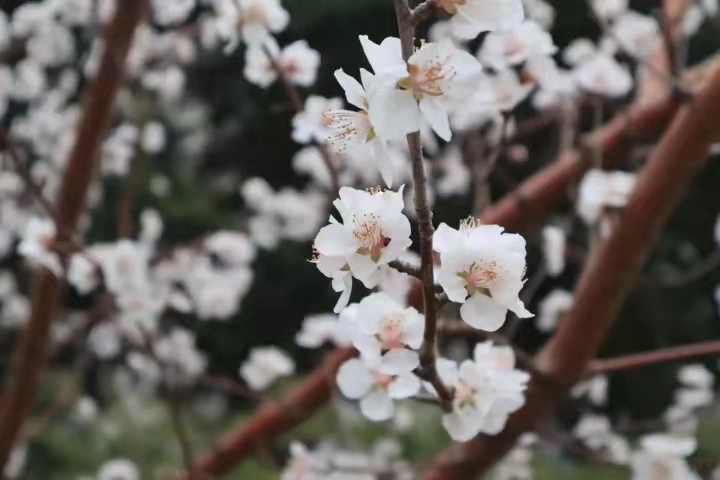 煙臺大學(xué) 我的大學(xué)
