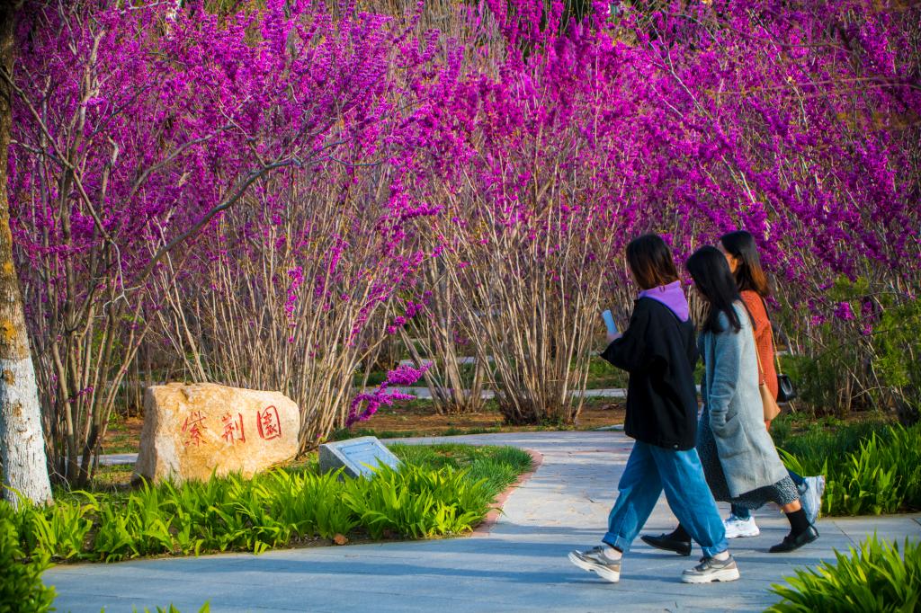 煙臺(tái)大學(xué)-校園風(fēng)景