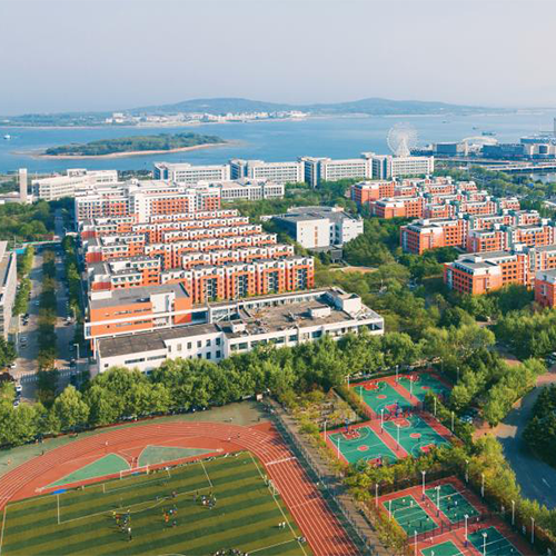 我的大學(xué)