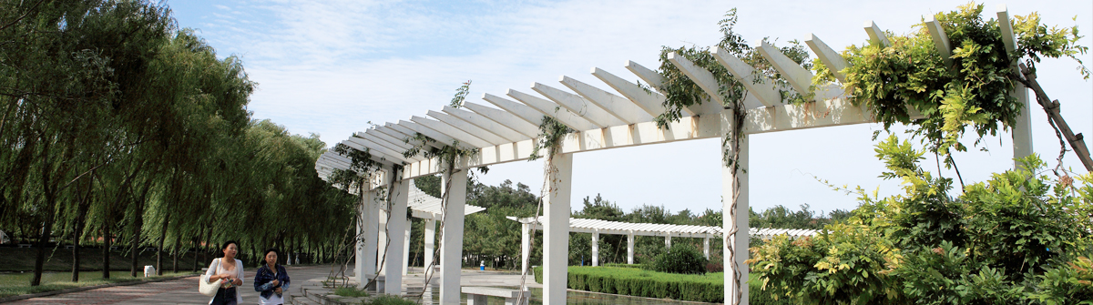 煙臺(tái)南山學(xué)院 我的大學(xué)