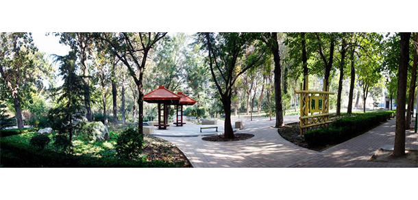 濰坊科技學院 - 最美大學