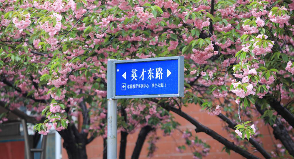 時(shí)光匆匆，歲月如歌！——珍惜自己最美好的時(shí)光，珍惜時(shí)下，放肆而不張揚(yáng)的青春年華。