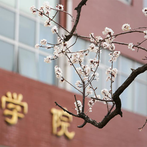 大學(xué)志