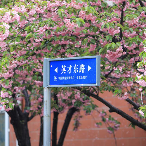 山東英才學(xué)院-早安青春