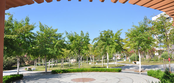 青島黃海學院 - 最美大學