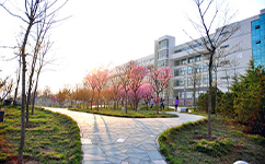 青島黃海學院 - 我的大學
