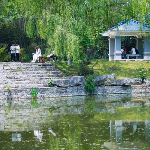 我的大學(xué)