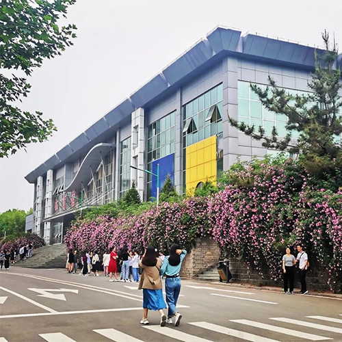 我的大學(xué)
