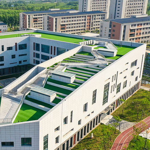聊城大學(xué)東昌學(xué)院-早安青春