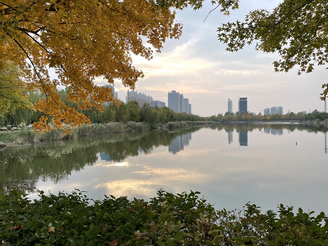 山東石油化工學院 我的大學