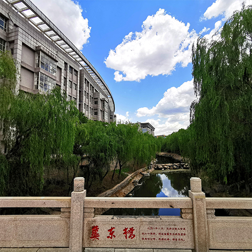 大學(xué)志