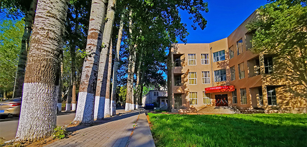 我的大學(xué)-大學(xué)志