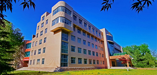 我的大學(xué)-大學(xué)志