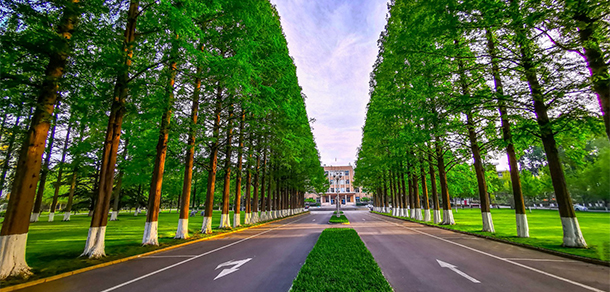 我的大學(xué)-大學(xué)志