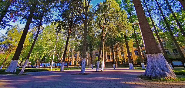 我的大學(xué)-大學(xué)志