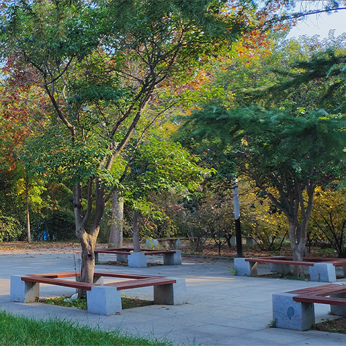 大學簡介