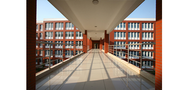 我的大學(xué)-大學(xué)志