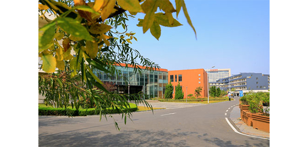 青島電影學(xué)院