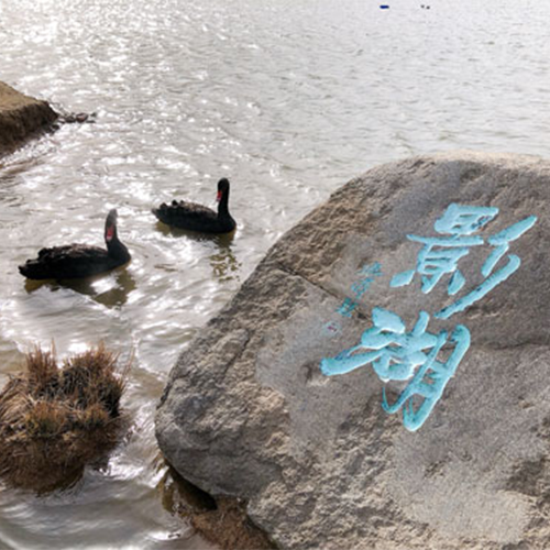 最美大學(xué)
