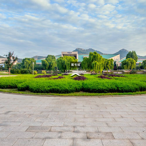 大學(xué)志