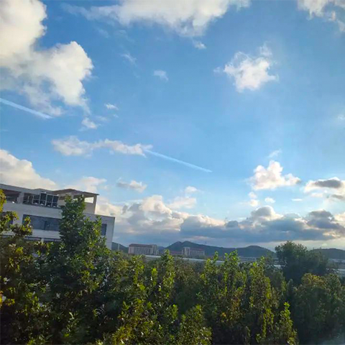 最美大學