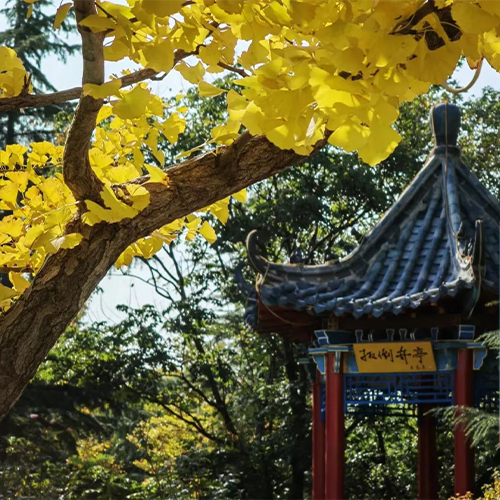 大學簡介